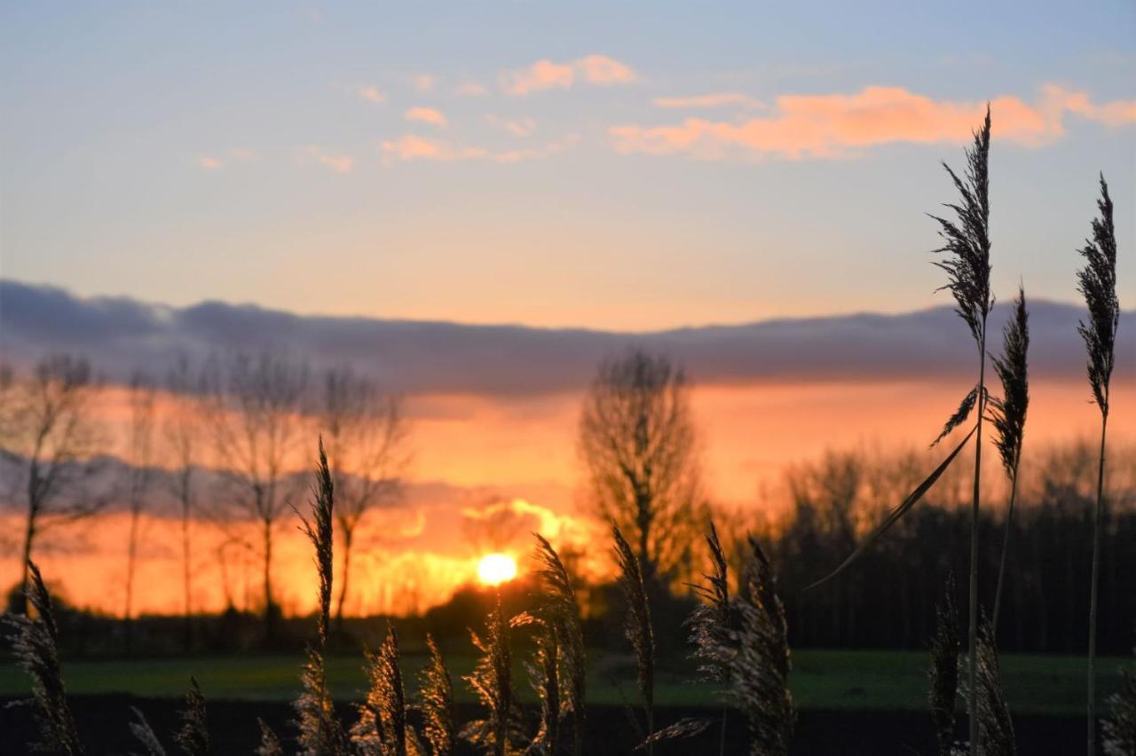 Vakantiewoning Lescaut Hamme Bagian luar foto